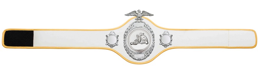 JIU JITSU CHAMPIONSHIP BELT-PRO288/S/JJS - 10 COLOURS JIU JITSU CHAMPIONSHIP BELT-PRO288/S/JJS - 10 COLOURS
